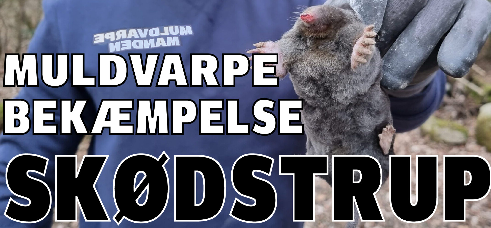 MuldvarpeBekæmpelse Skødstrup