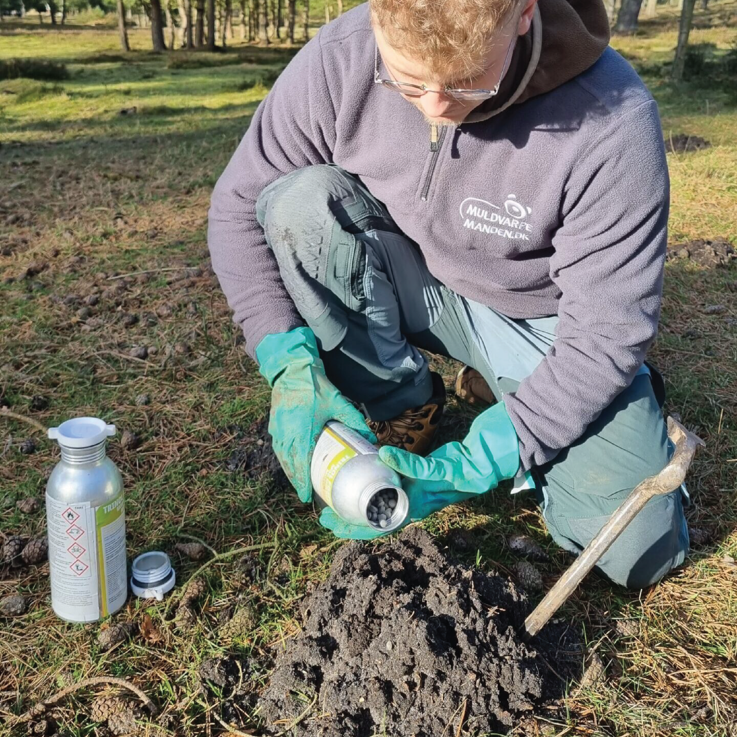 Silkeborg: fælder sættes og tilses