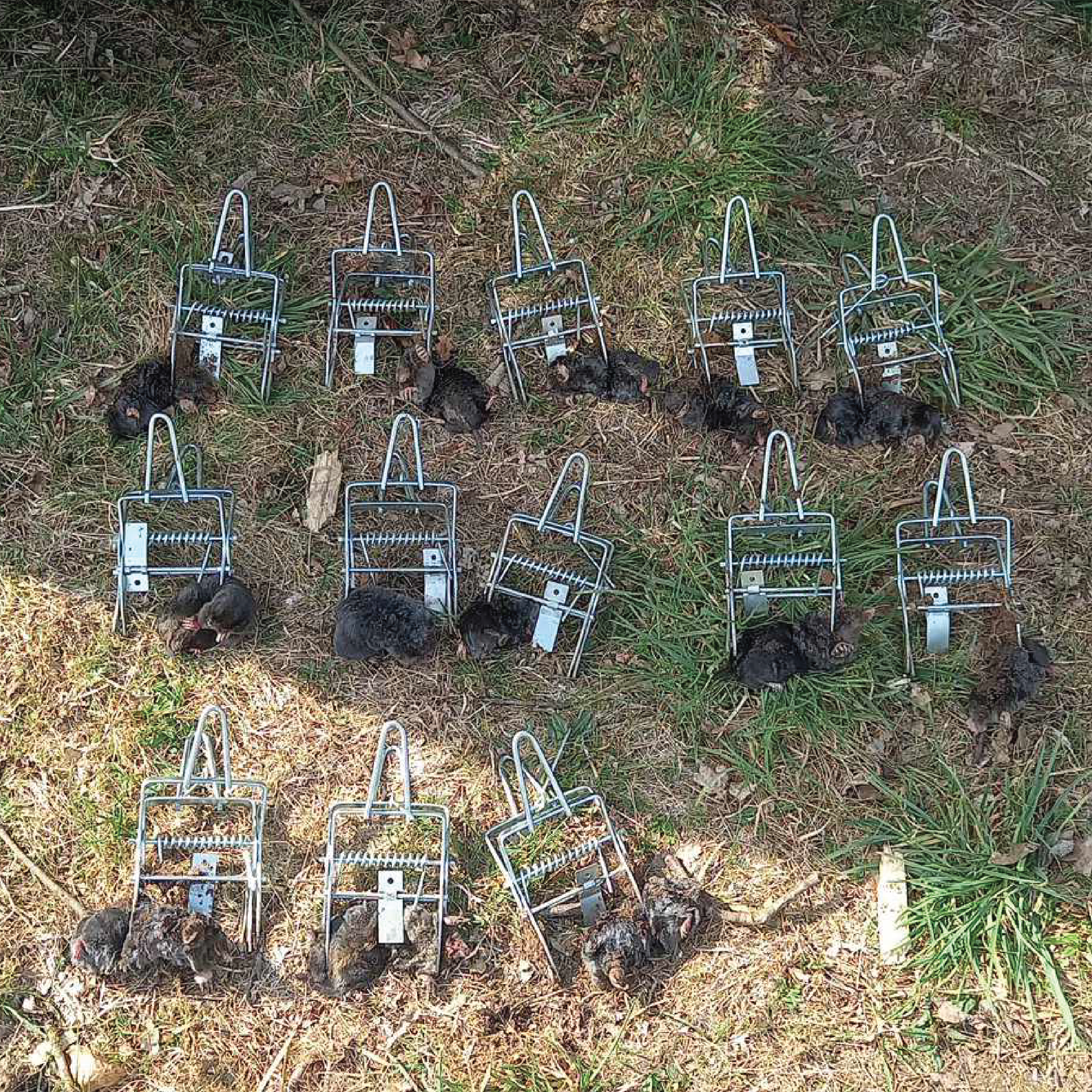 Udstyr til målrettet bekæmpelse i Silkeborg