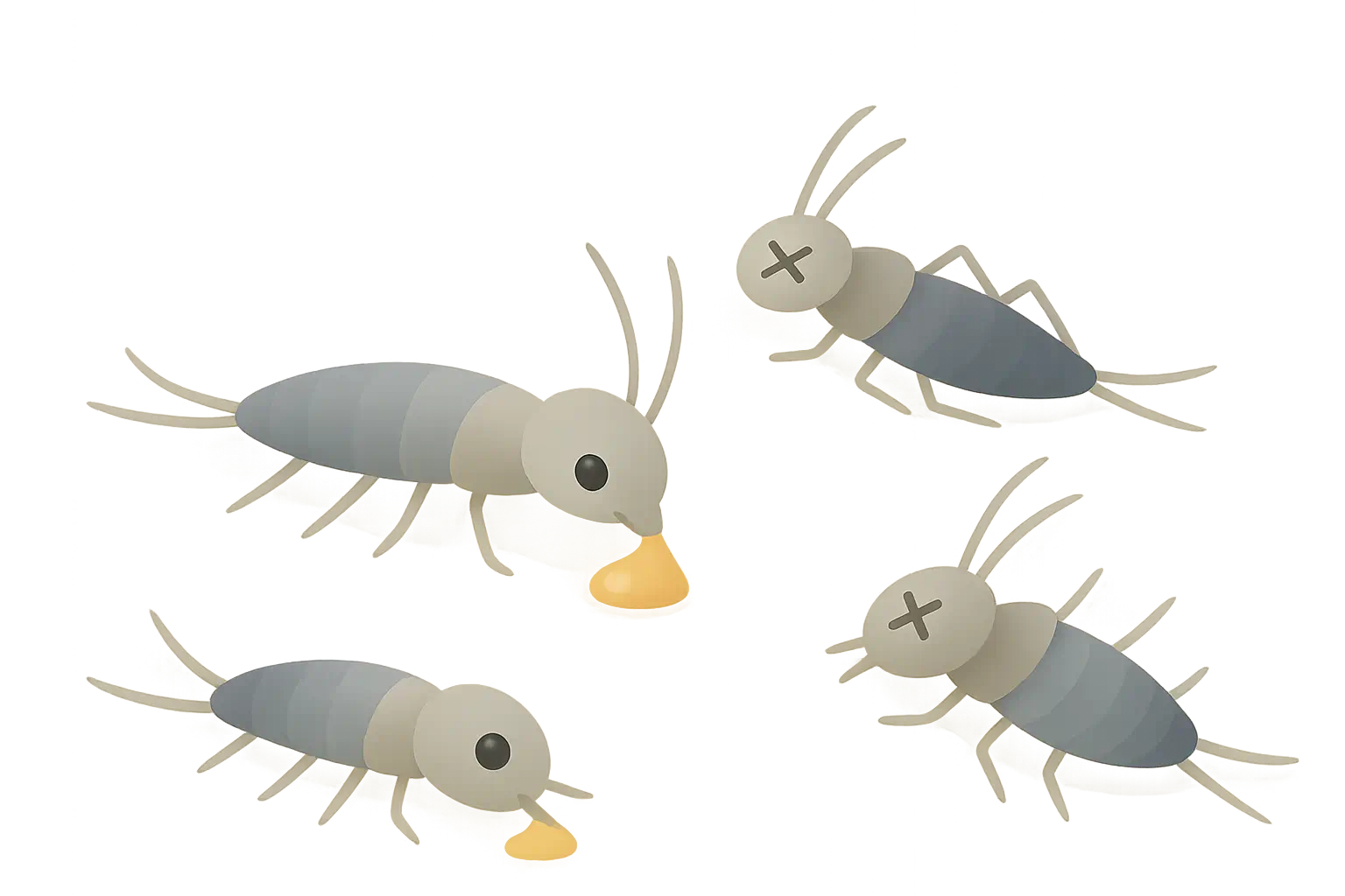 Skadedyrsbekæmper i Viborg