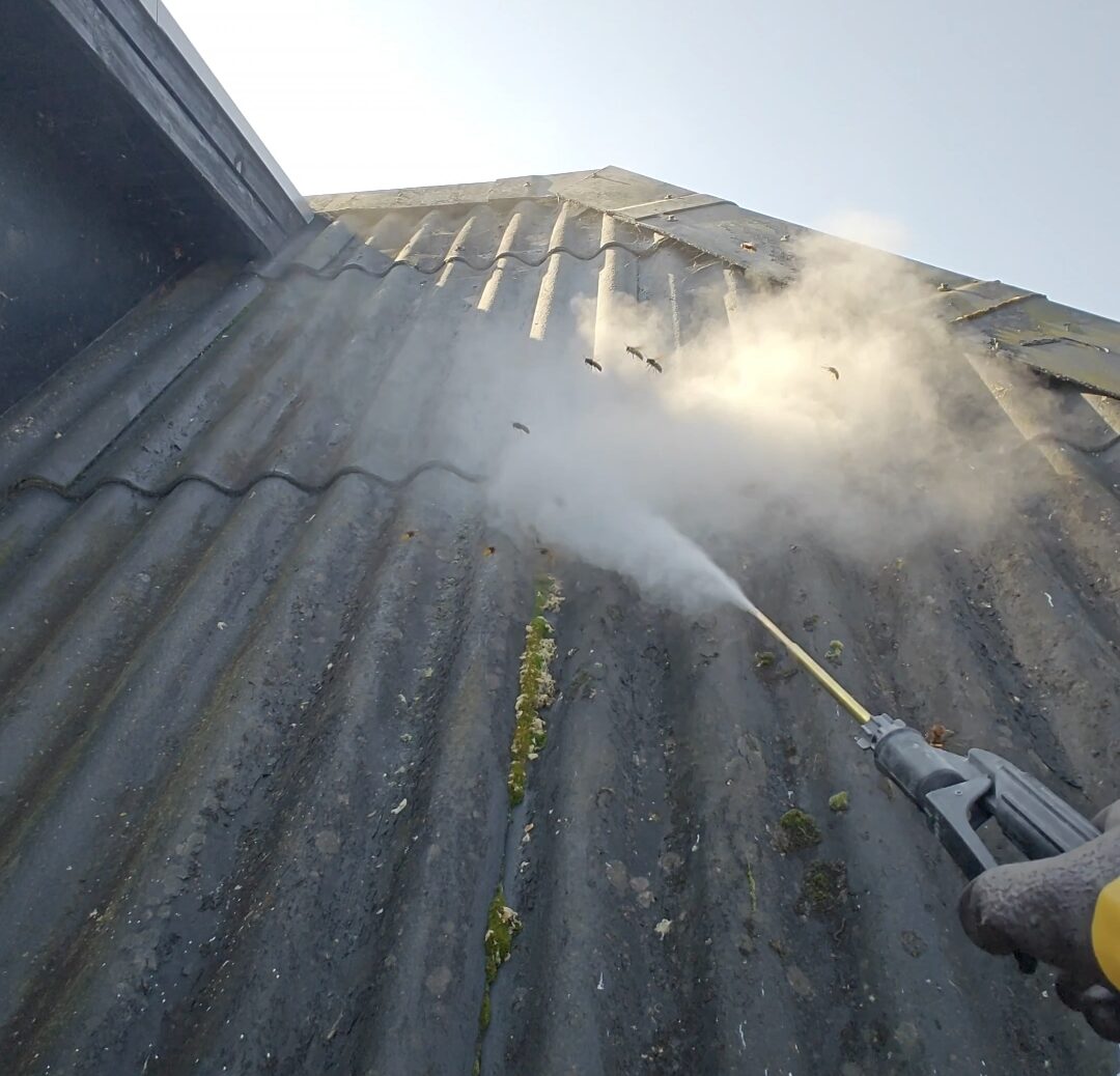 Pulver-sprøjtning af hvepsebo – professionel bekæmpelse