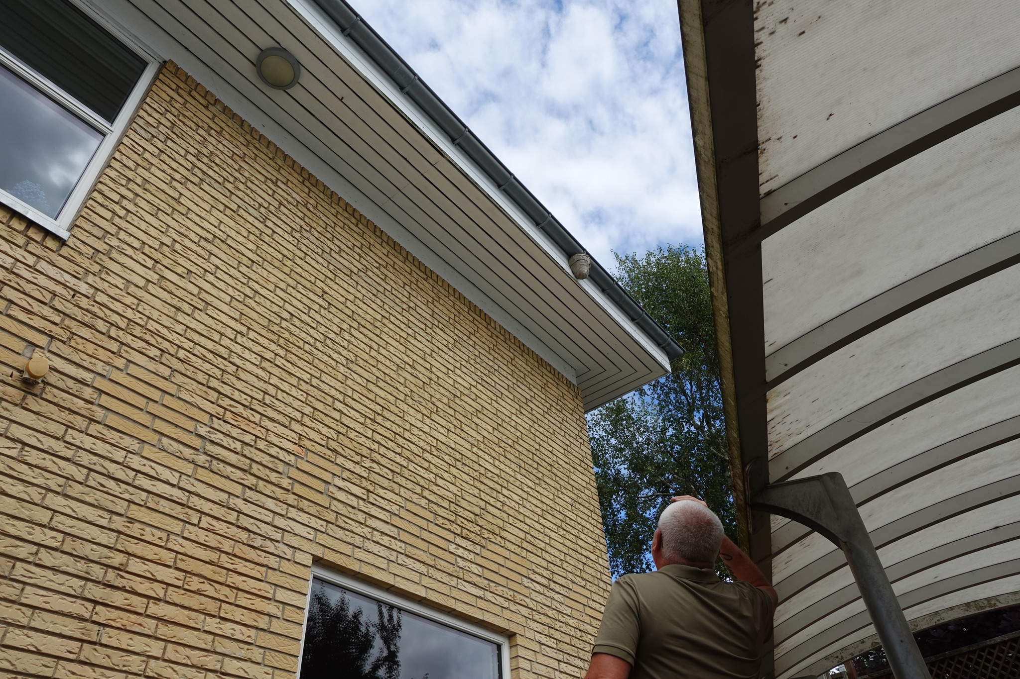 Skadedyrstekniker vurderer hvepsebo på bygning