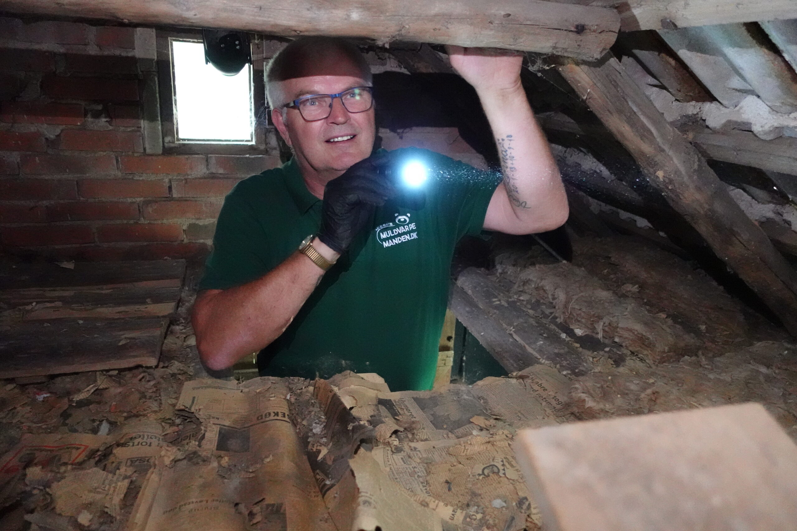 Inspektion af loft/skunk for mus i Viborg