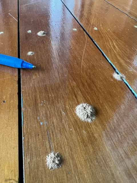 Borebiller i trægulv – bunker af lyst boremel langs gulvbrædder
