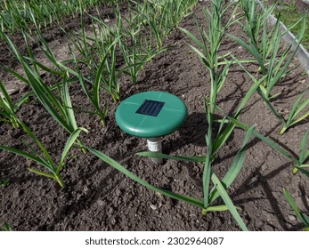 Muldvarpeskud i mark – flere muldvarpe følger af jord i bedre balance