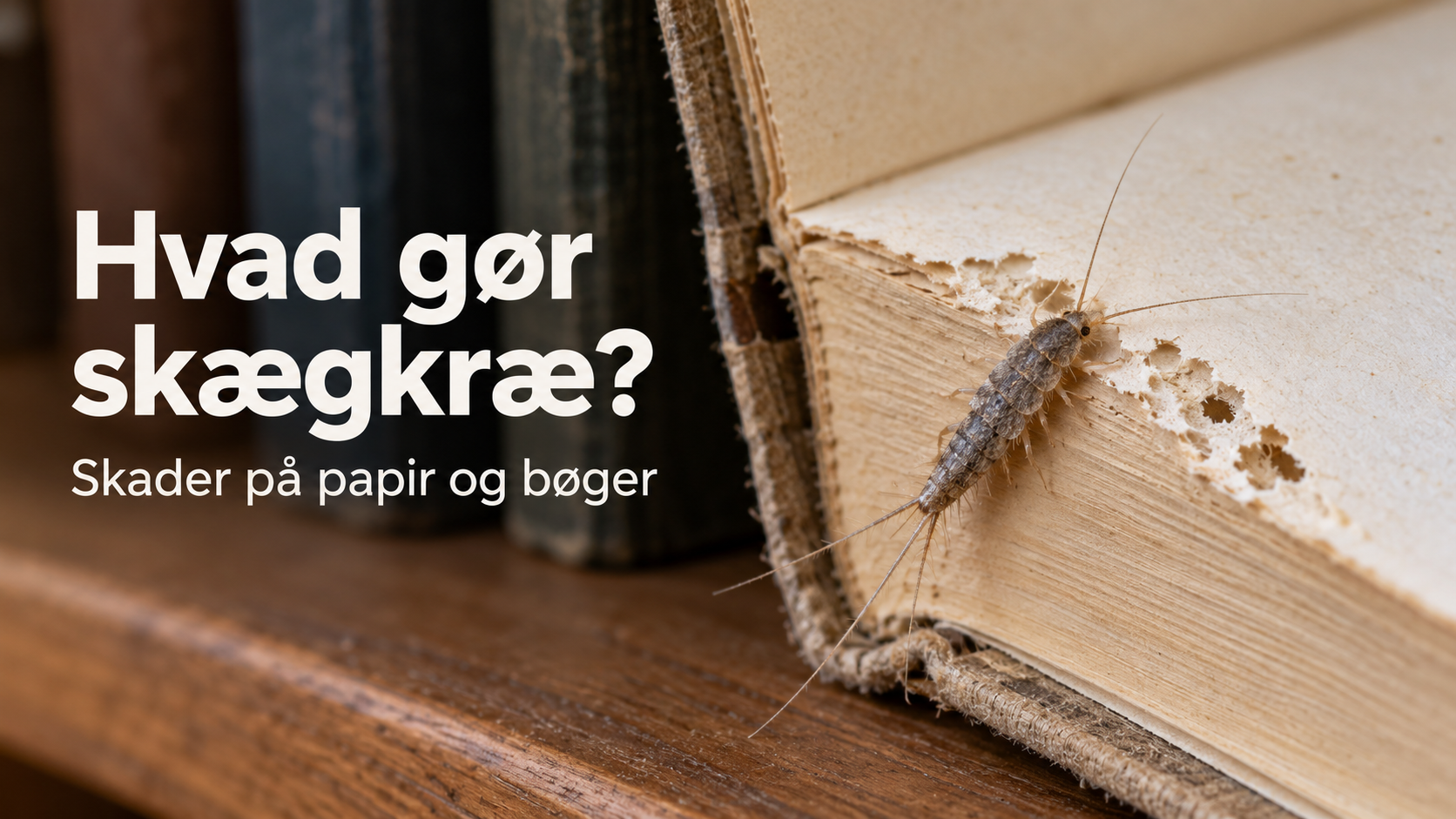 hvad gør skægkræ